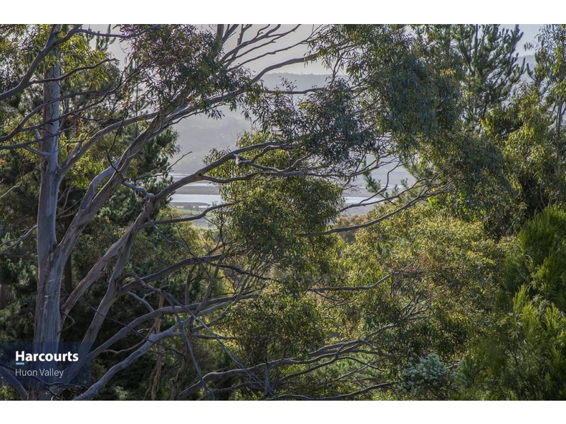 Lot 1 Cowmedows Road, Cradoc TAS 7109