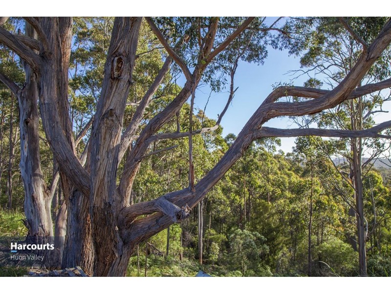 Lot 1 Cowmedows Road, Cradoc TAS 7109