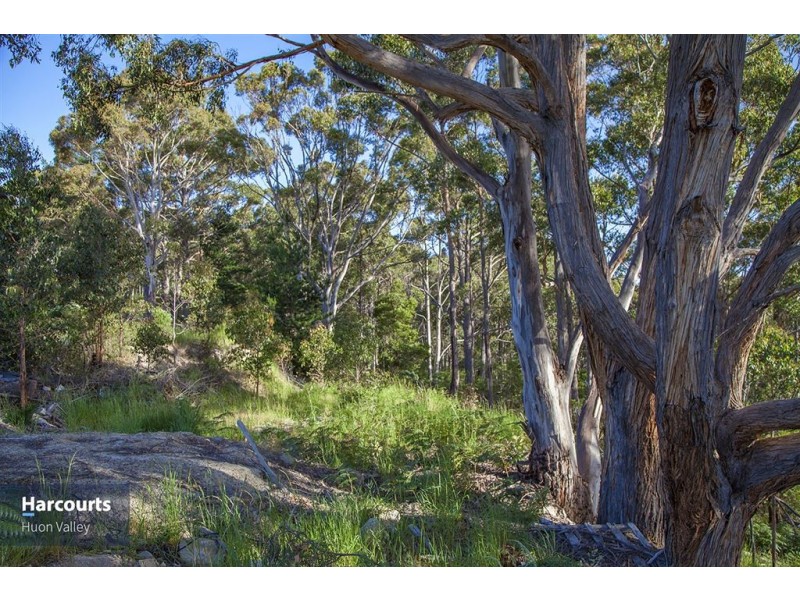 Lot 1 Cowmedows Road, Cradoc TAS 7109