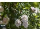 3958 Channel Highway, Flowerpot TAS 7163