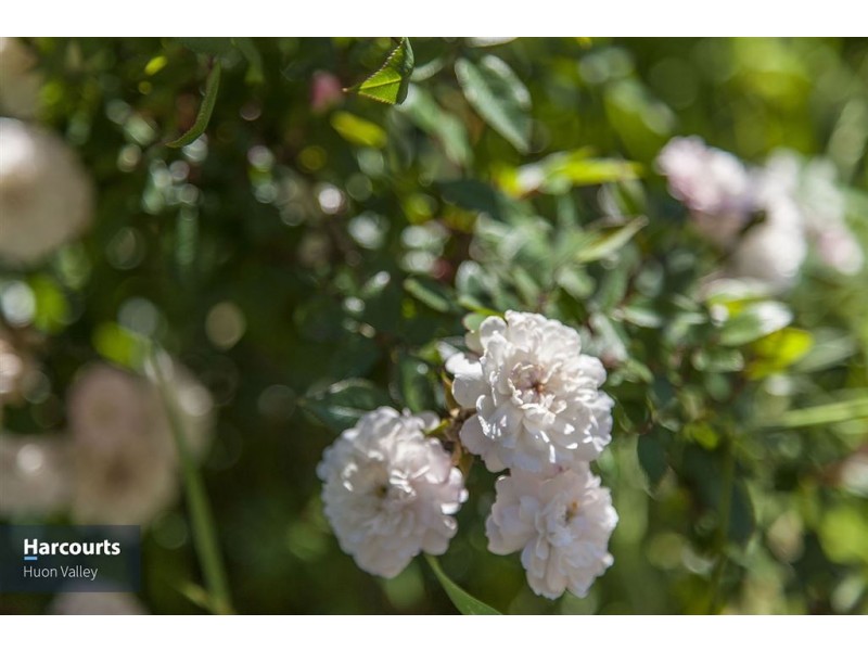 3958 Channel Highway, Flowerpot TAS 7163