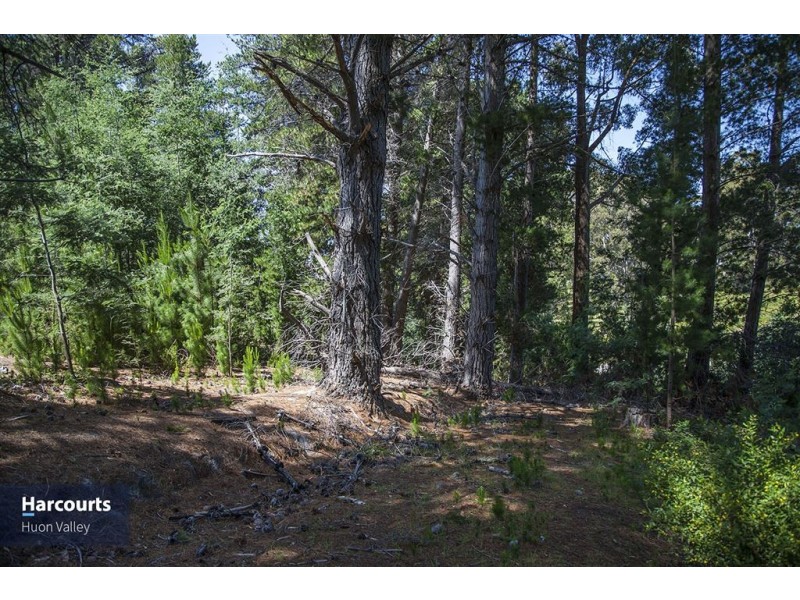 3958 Channel Highway, Flowerpot TAS 7163
