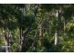142 Braeside Road, Franklin TAS 7113