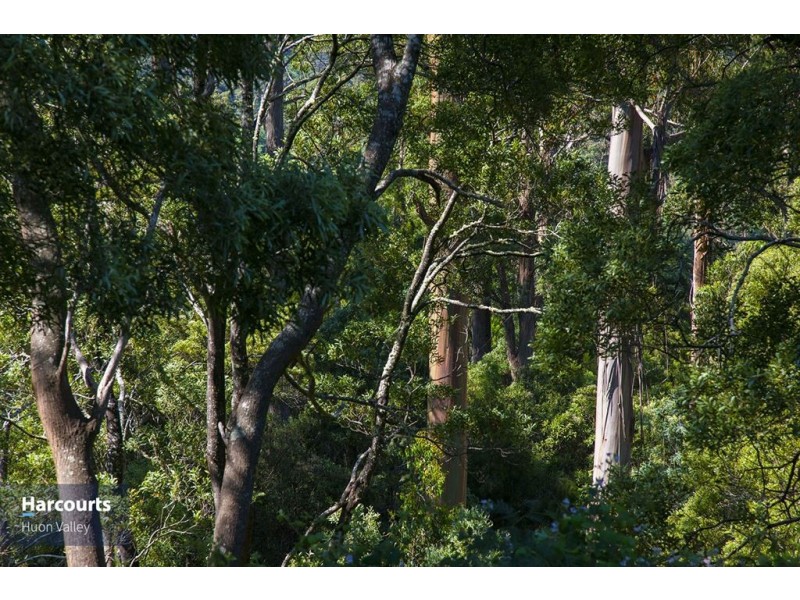 142 Braeside Road, Franklin TAS 7113