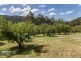 142 Braeside Road, Franklin TAS 7113