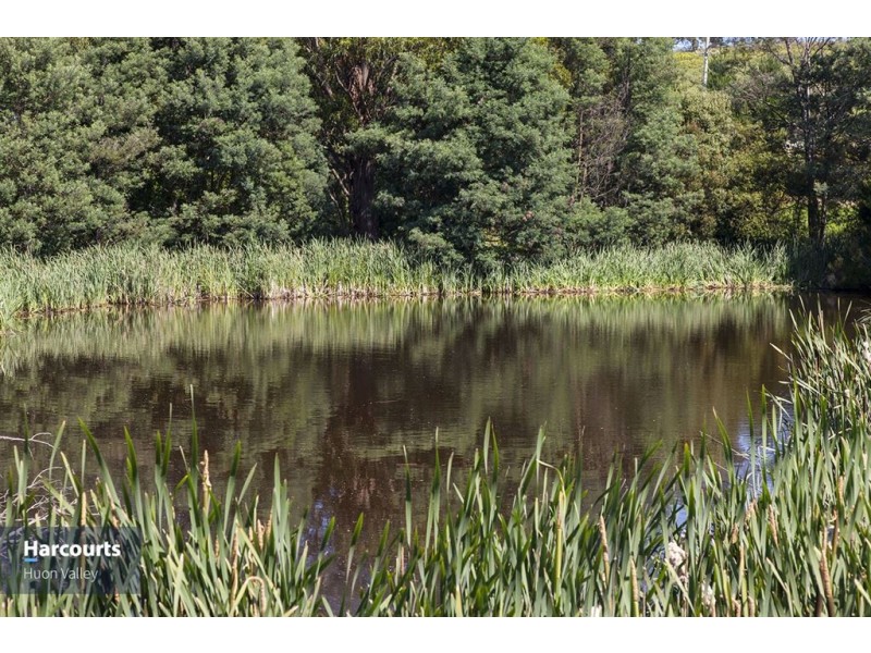 142 Braeside Road, Franklin TAS 7113