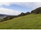 Lot 1 Walpole Lane, Franklin TAS 7113