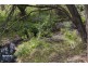RA Pottery Road, Garden Island Creek TAS 7112