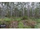 RA Pottery Road, Garden Island Creek TAS 7112