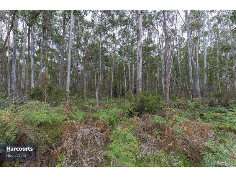 RA Pottery Road, Garden Island Creek TAS 7112