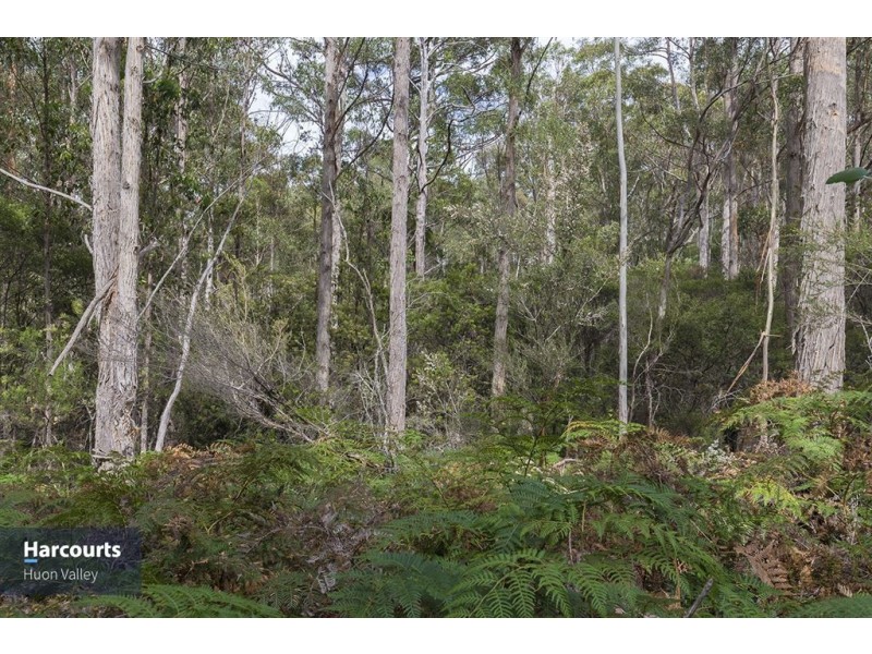 RA Pottery Road, Garden Island Creek TAS 7112