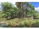 RA Fyfes Road, Mountain River TAS 7109