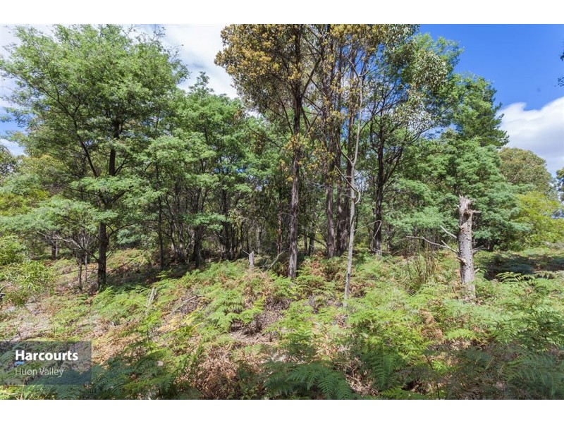 RA Fyfes Road, Mountain River TAS 7109