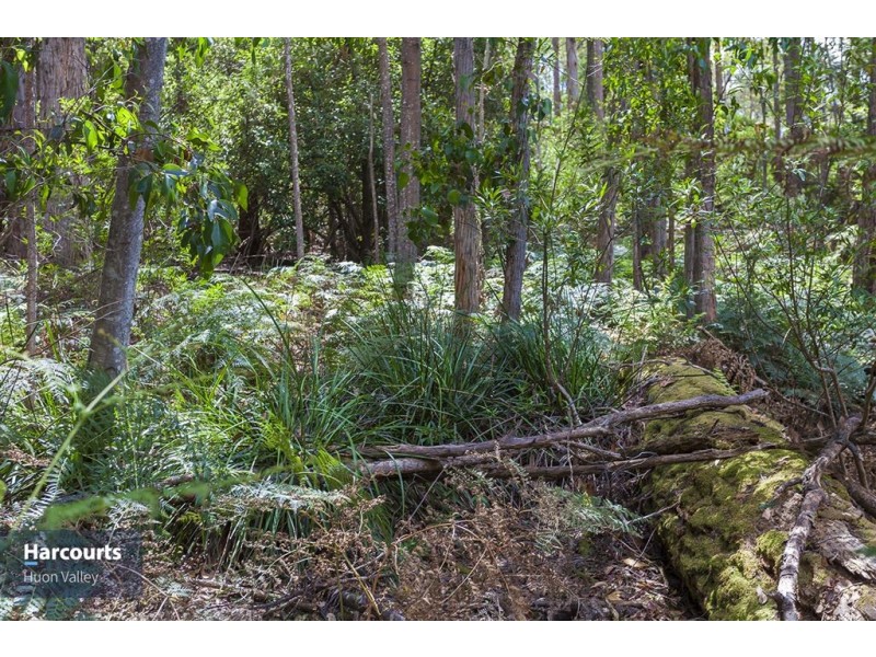 RA Fyfes Road, Mountain River TAS 7109