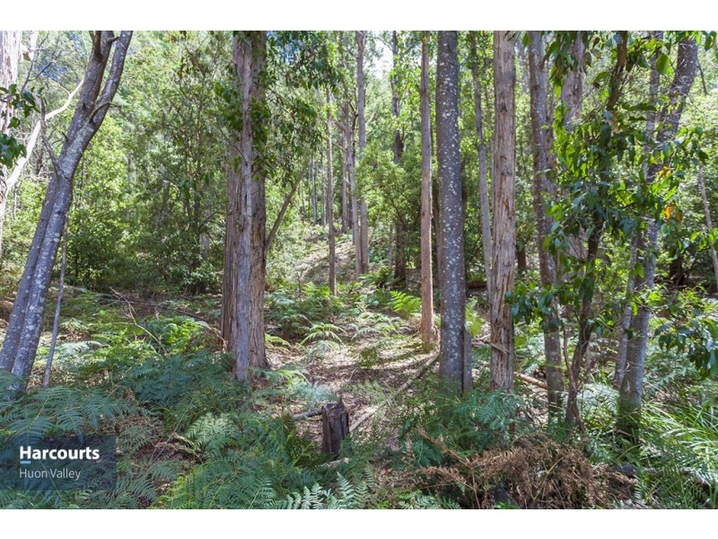 RA Fyfes Road, Mountain River TAS 7109