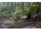 RA Fyfes Road, Mountain River TAS 7109
