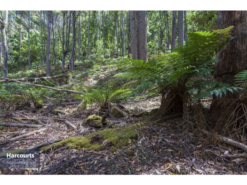 RA Fyfes Road, Mountain River TAS 7109