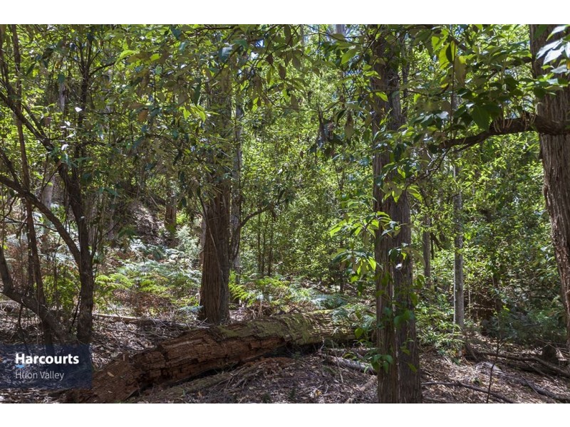 RA Fyfes Road, Mountain River TAS 7109