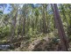 RA Fyfes Road, Mountain River TAS 7109