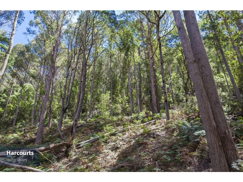RA Fyfes Road, Mountain River TAS 7109