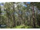 RA Fyfes Road, Mountain River TAS 7109