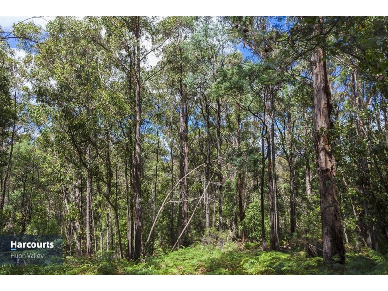 RA Fyfes Road, Mountain River TAS 7109