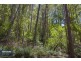 RA Fyfes Road, Mountain River TAS 7109