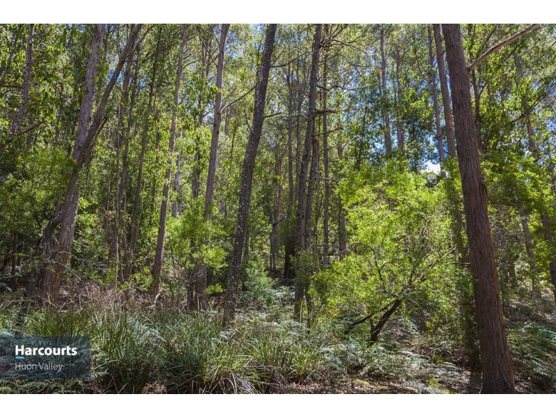 RA Fyfes Road, Mountain River TAS 7109