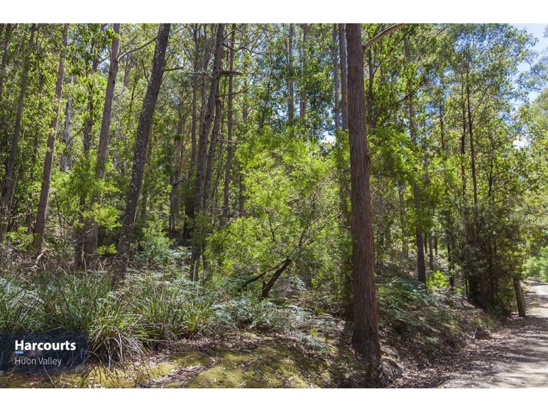 RA Fyfes Road, Mountain River TAS 7109