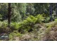 RA Fyfes Road, Mountain River TAS 7109