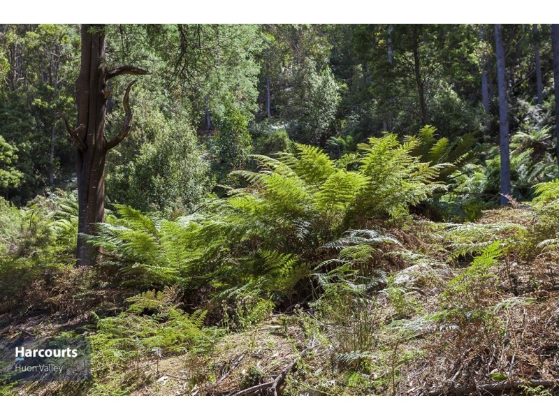 RA Fyfes Road, Mountain River TAS 7109