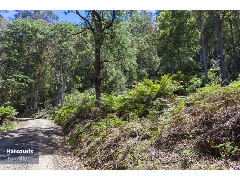 RA Fyfes Road, Mountain River TAS 7109
