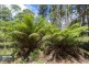 RA Fyfes Road, Mountain River TAS 7109