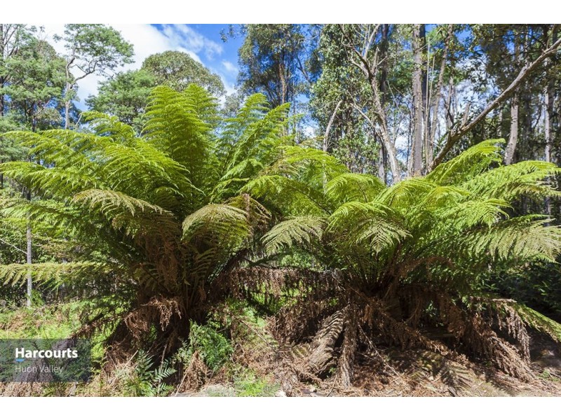 RA Fyfes Road, Mountain River TAS 7109