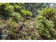 RA Fyfes Road, Mountain River TAS 7109