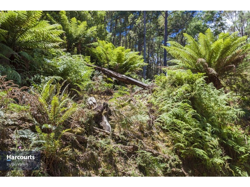 RA Fyfes Road, Mountain River TAS 7109