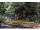 Lot 2 Bakers Creek Road, Lucaston TAS 7109