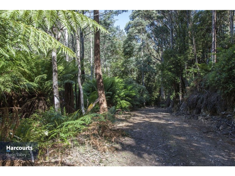 Lot 2 Bakers Creek Road, Lucaston TAS 7109
