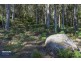 Lot 2 Bakers Creek Road, Lucaston TAS 7109