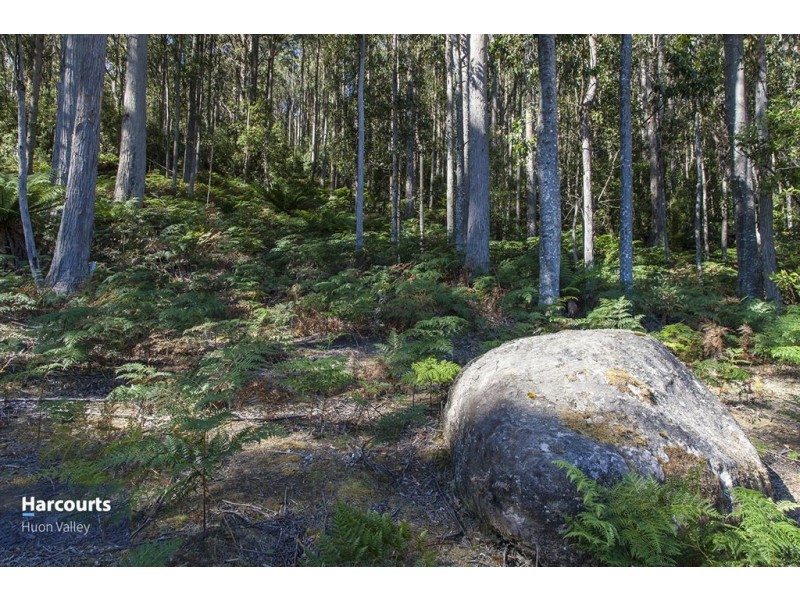 Lot 2 Bakers Creek Road, Lucaston TAS 7109