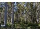 Lot 2 Bakers Creek Road, Lucaston TAS 7109