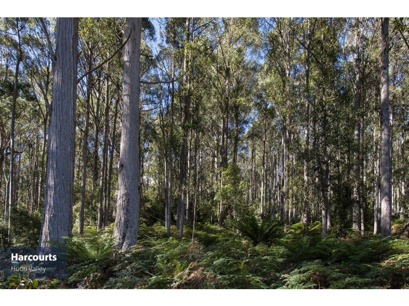 Lot 2 Bakers Creek Road, Lucaston TAS 7109