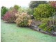 8 Charles Street, Cygnet TAS 7112
