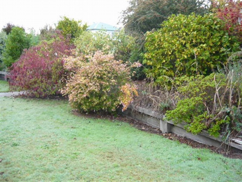 8 Charles Street, Cygnet TAS 7112