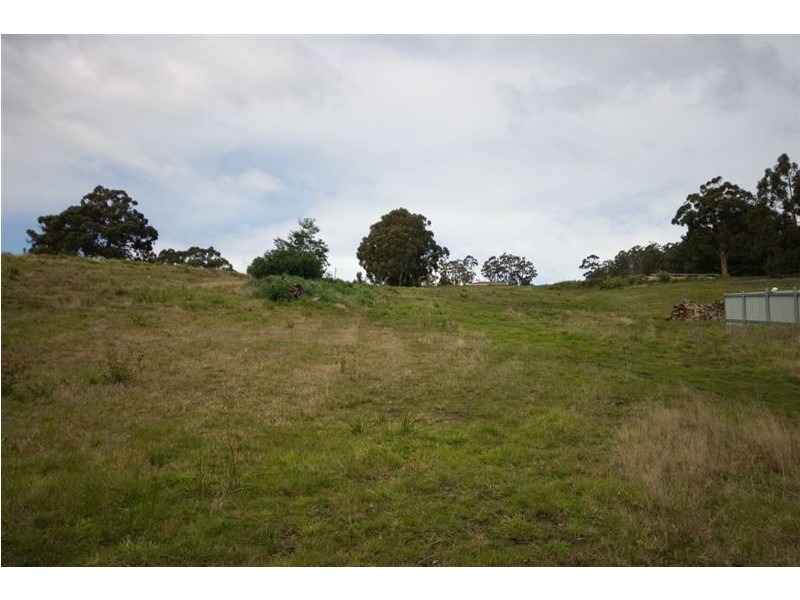 17 Golden Valley Road, Cygnet TAS 7112