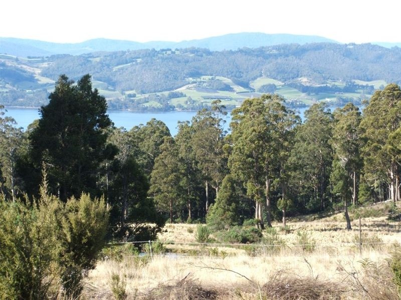 Lot 1/350 Harwoods Road, Castle Forbes Bay TAS 7116
