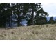 Lot 1/350 Harwoods Road, Castle Forbes Bay TAS 7116