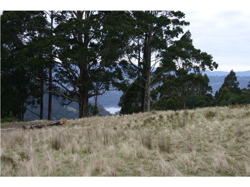 Lot 1/350 Harwoods Road, Castle Forbes Bay TAS 7116