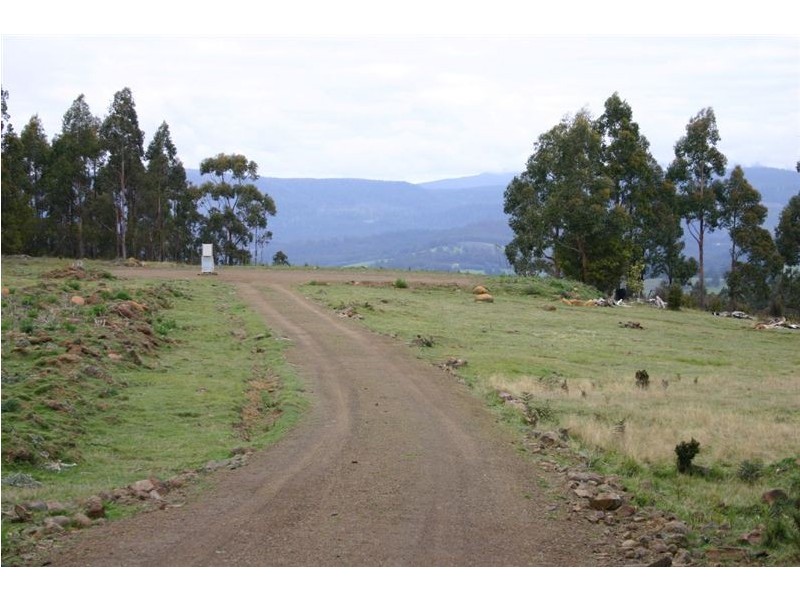 Lot 1/350 Harwoods Road, Castle Forbes Bay TAS 7116
