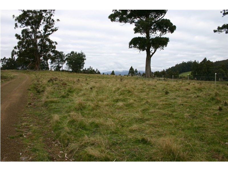 Lot 1/350 Harwoods Road, Castle Forbes Bay TAS 7116
